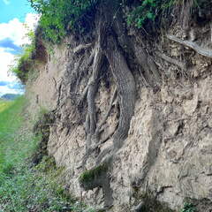 22-06-06 11-36-45 1061